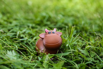 Коровка Ириска