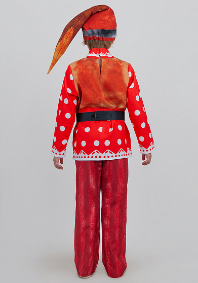 Гном костюм для детей