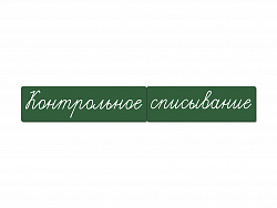 Магнитные карточки "Контрольное списывание" (фон зелёный)