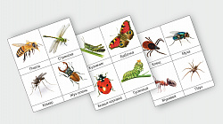 Набор "Насекомые", 12 шт.