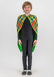 Фрак Жука рогатого