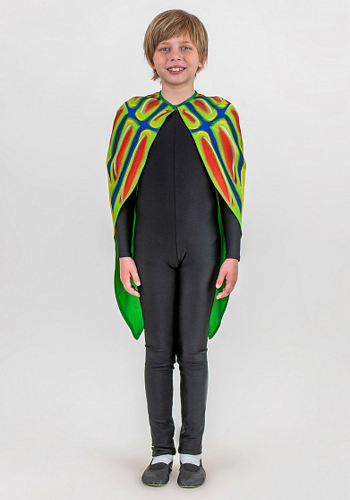 Фрак Жука рогатого