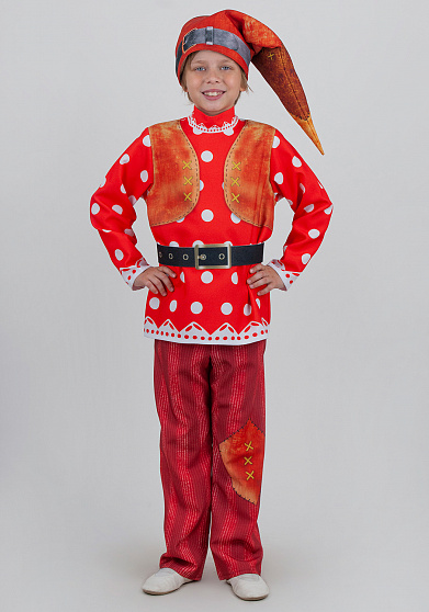 Гном костюм для детей