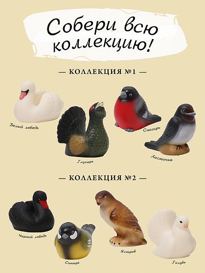 Изучаем птиц. Коллекция 1