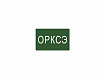 Магнитная карточка "ОРКСЭ"(фон зеленый)
