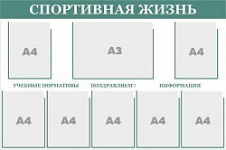 Стенд "Спортивная жизнь" 1200 х 800, пластик 3 мм, карман А4-7шт., карман А3-1шт. (цвет -светло-зелёный)