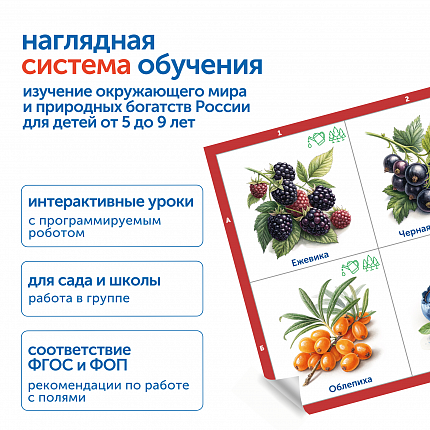 Модуль "Овощи, фрукты, ягоды России"