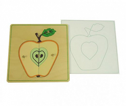 Ботанические рамки-вкладыши