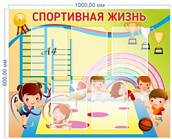 Стенд Спортивная жизнь 1000 х 800 пластик 3мм, карманы А4-5шт