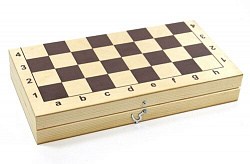 Игра настольная «Шахматы и шашки» пластмассовые (поле 29х29 см)