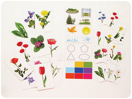 Набор магнитных карточек "Загадки-отрицания". Цветы.