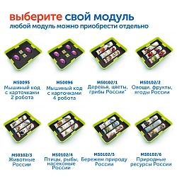 Модуль "Бережем природу России"