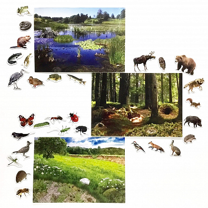 Магнитное развивающее пособие "Кто где живёт." (Лес-река-луг)