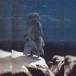 Репродукция картины И.И. Шишкин "На севере диком" Декорация / Занавес сцены